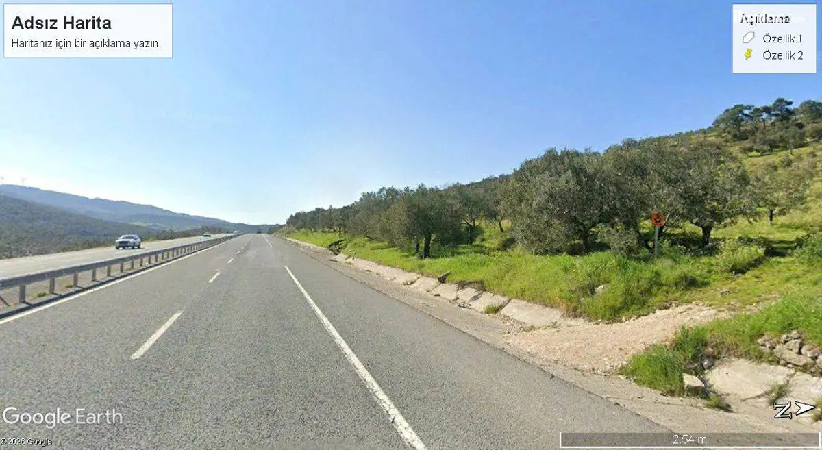 Balıkesir Havran Eseler Mahallesi 373 m² satılık arazi arsa - Fotoğraf 1