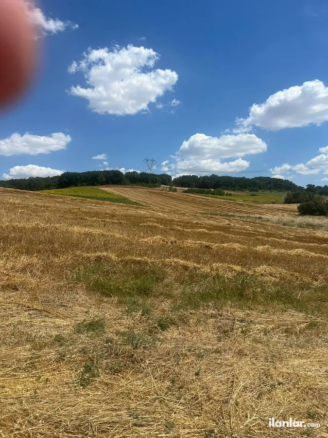 Kırklareli Babaeski Fevzi Çakmak Mahallesi 3.920 m² satılık tarla arsa - Fotoğraf 1