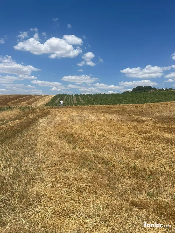 Kırklareli Babaeski Fevzi Çakmak Mahallesi 3.920 m² satılık tarla arsa - Fotoğraf 2