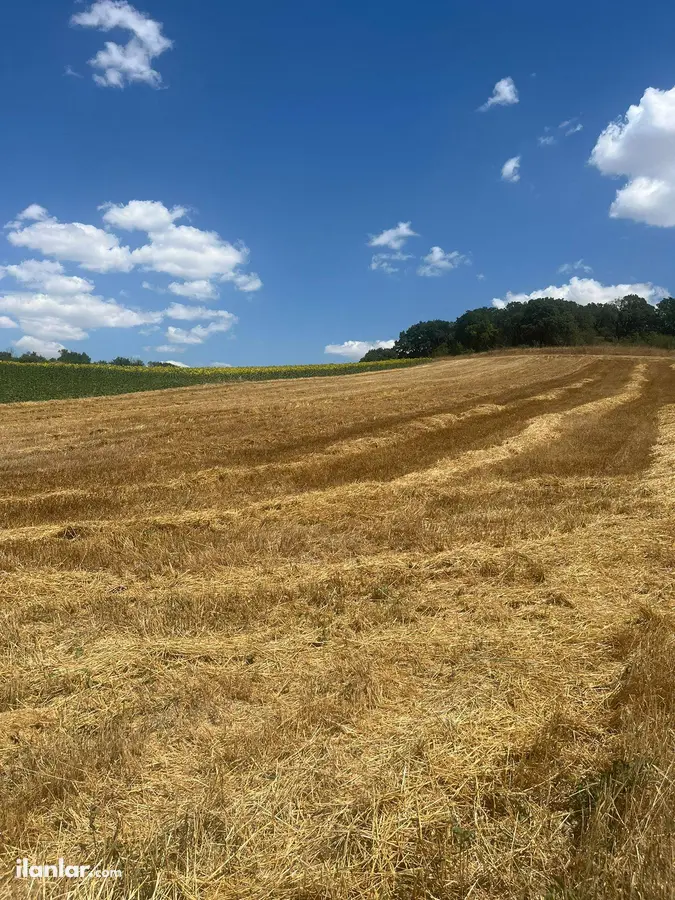 Kırklareli Babaeski Fevzi Çakmak Mahallesi 3.920 m² satılık tarla arsa - Fotoğraf 3