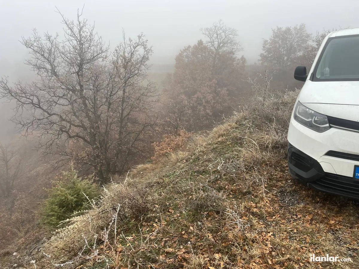 Çorum Osmancık Sütlüce Köyü Mahallesi 3.042 m² satılık tarla arsa - Fotoğraf 3