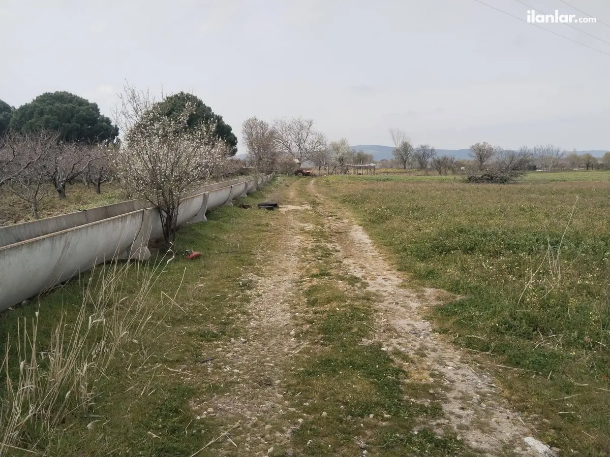 Çanakkale Ezine Seferşah Mahallesi 7.497 m² satılık tarla arsa - Fotoğraf 2