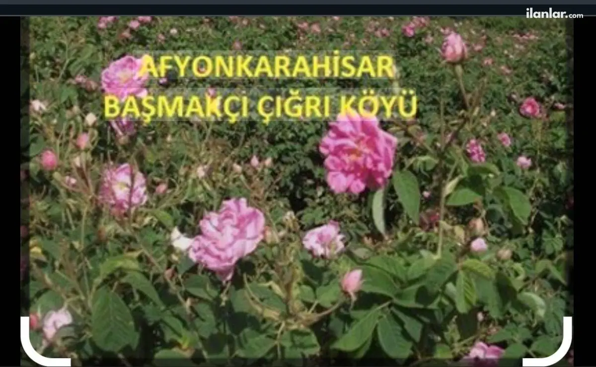 Afyonkarahisar Başmakçı Çığrı, Yukarı Mahallesi 4.426 m² satılık tarla arsa - Fotoğraf 1