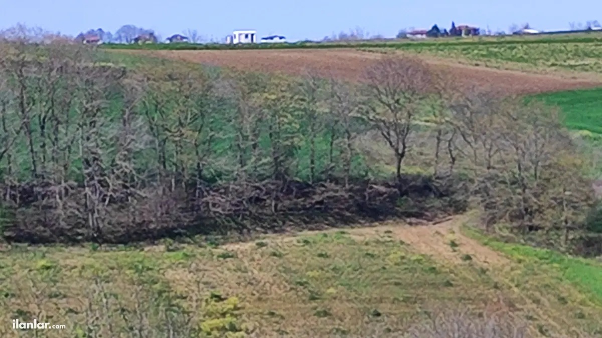 Sakarya Kaynarca Kırktepe Mahallesi 1.827 m² satılık tarla arsa - Fotoğraf 3