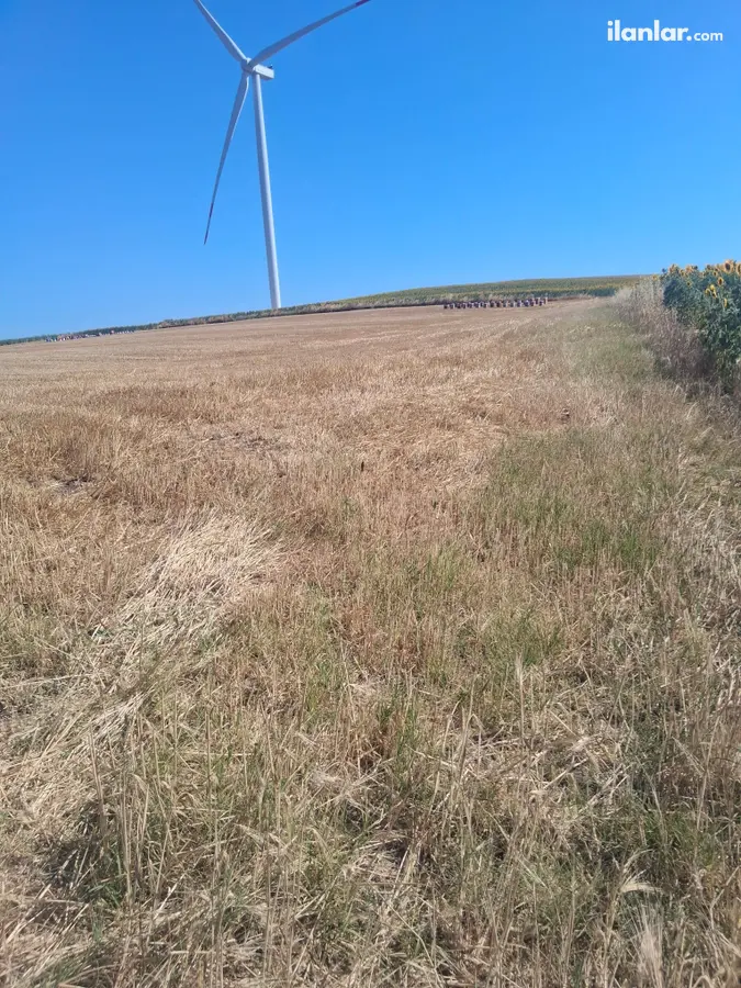 İstanbul Silivri Fener Mahallesi 4.000 m² satılık tarla arsa - Fotoğraf 3