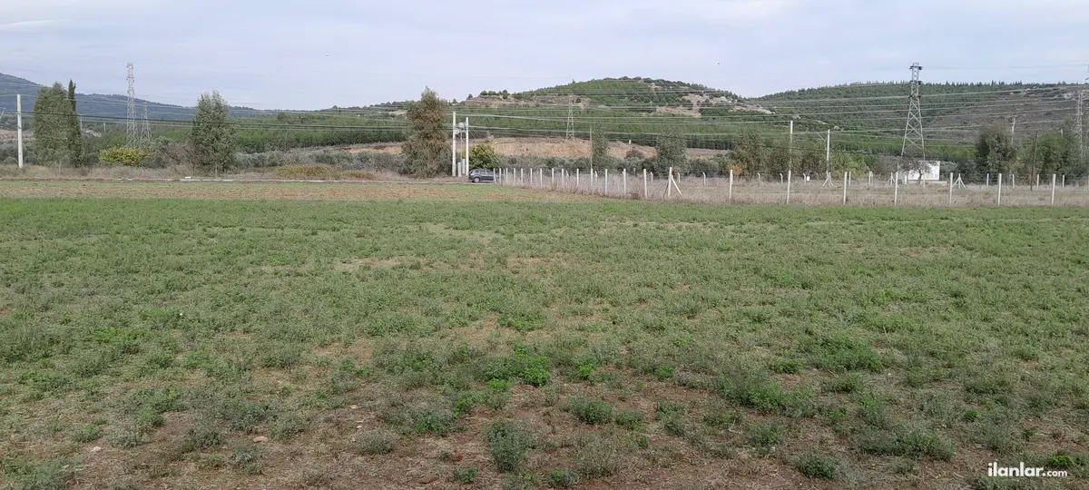 İzmir Torbalı Arslanlar Mahallesi 3.560 m² satılık arazi arsa - Fotoğraf 2