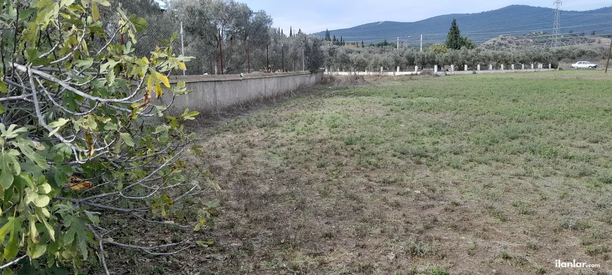İzmir Torbalı Arslanlar Mahallesi 3.560 m² satılık arazi arsa - Fotoğraf 3