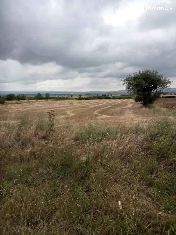Çanakkale Gelibolu Şadıllı Köyü Mahallesi 7.647 m² satılık tarla arsa - Fotoğraf 1