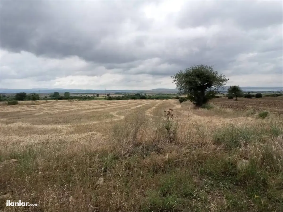 Çanakkale Gelibolu Şadıllı Köyü Mahallesi 7.647 m² satılık tarla arsa - Fotoğraf 3