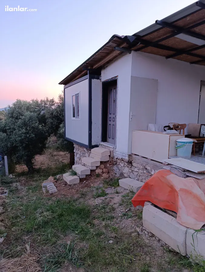 İzmir Torbalı Yazıbaşı Mahallesi 525 m² satılık zeytinlik arsa - Fotoğraf 1