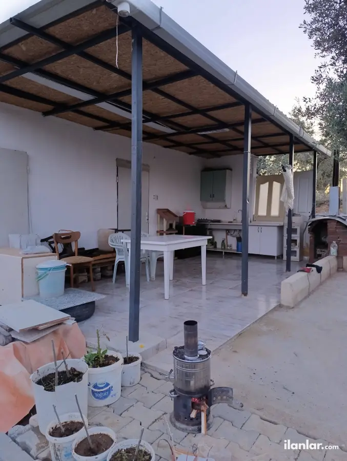 İzmir Torbalı Yazıbaşı Mahallesi 525 m² satılık zeytinlik arsa - Fotoğraf 2