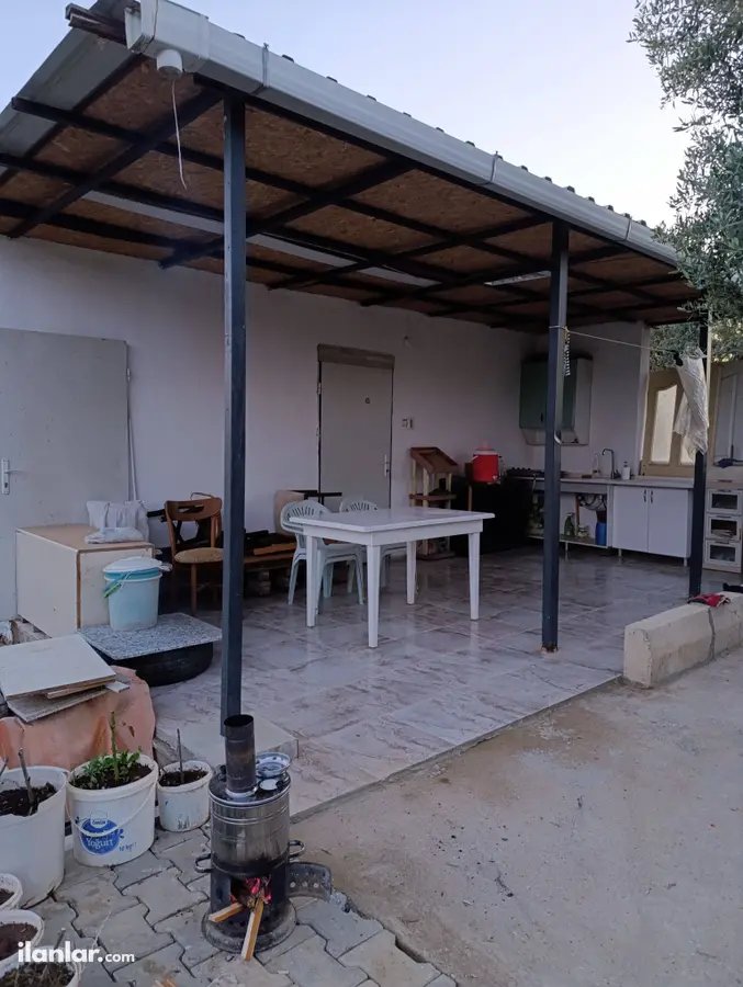 İzmir Torbalı Yazıbaşı Mahallesi 525 m² satılık zeytinlik arsa - Fotoğraf 3
