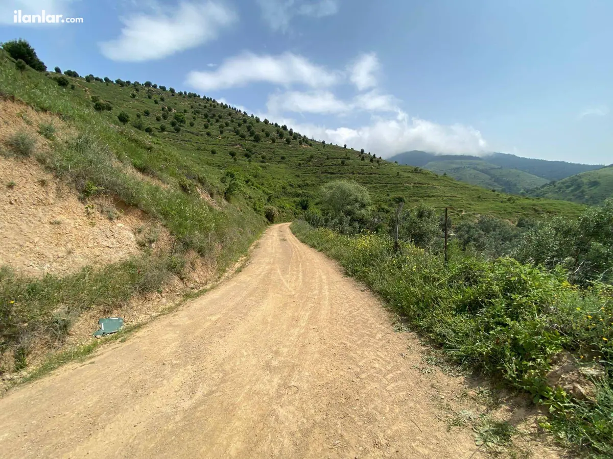 Bursa Orhangazi Yeniköy Mahallesi 3.541 m² satılık tarla arsa - Fotoğraf 1