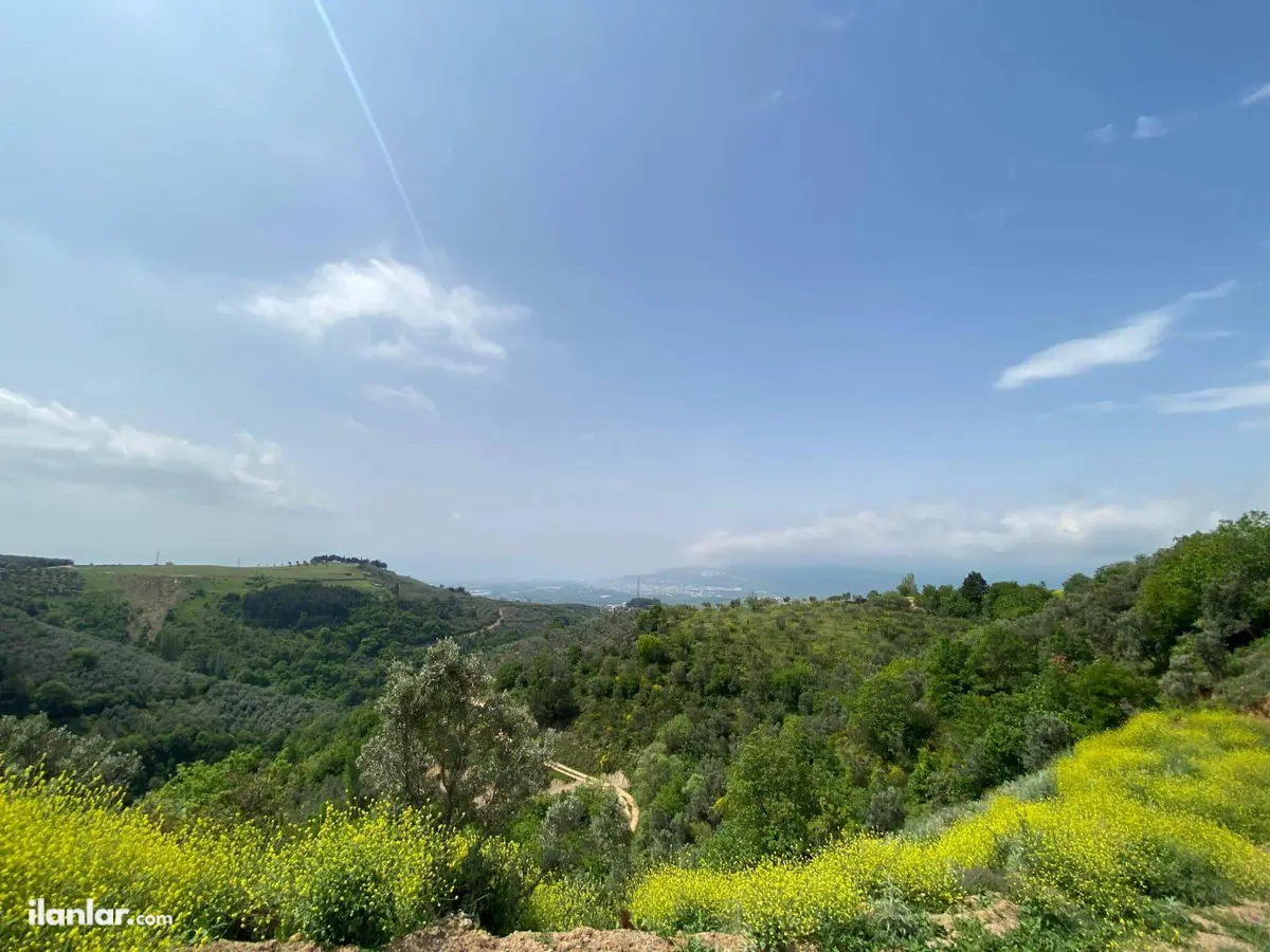 Bursa Orhangazi Yeniköy Mahallesi 3.541 m² satılık tarla arsa - Fotoğraf 2