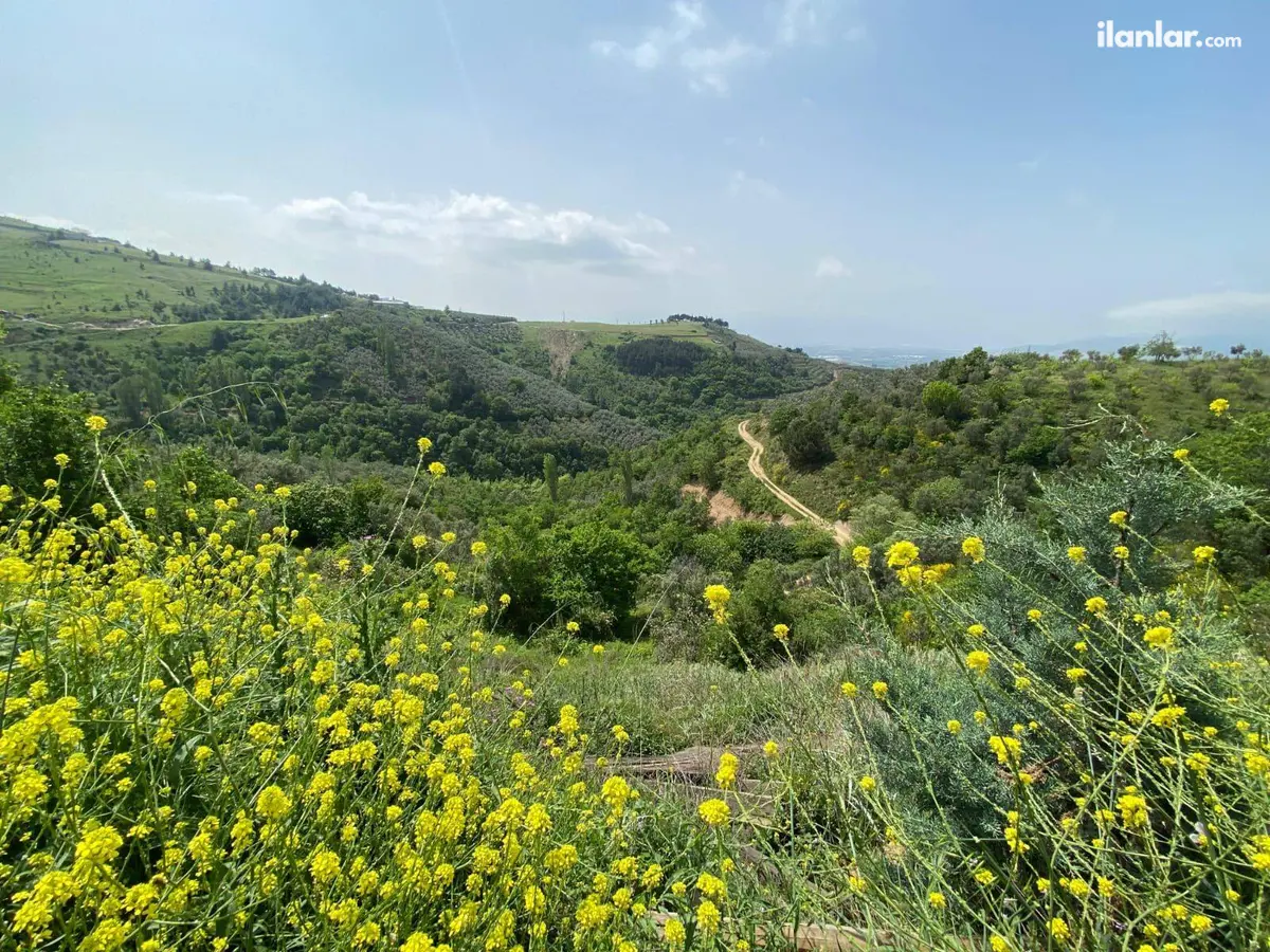 Bursa Orhangazi Yeniköy Mahallesi 3.541 m² satılık tarla arsa - Fotoğraf 3