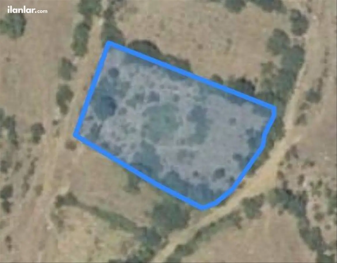 Balıkesir Balya Çakallar Mahallesi 1.603 m² satılık tarla arsa - Fotoğraf 2