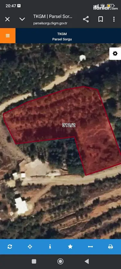 Antalya Alanya Mahmutseydi Mahallesi 3.432 m² satılık tarla arsa - Fotoğraf 2