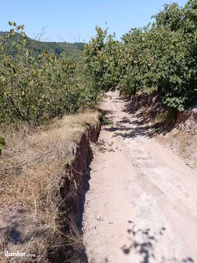 Sakarya Karasu Ortaköy Mahallesi 1.926 m² satılık bağ & Bahçe arsa - Fotoğraf 1