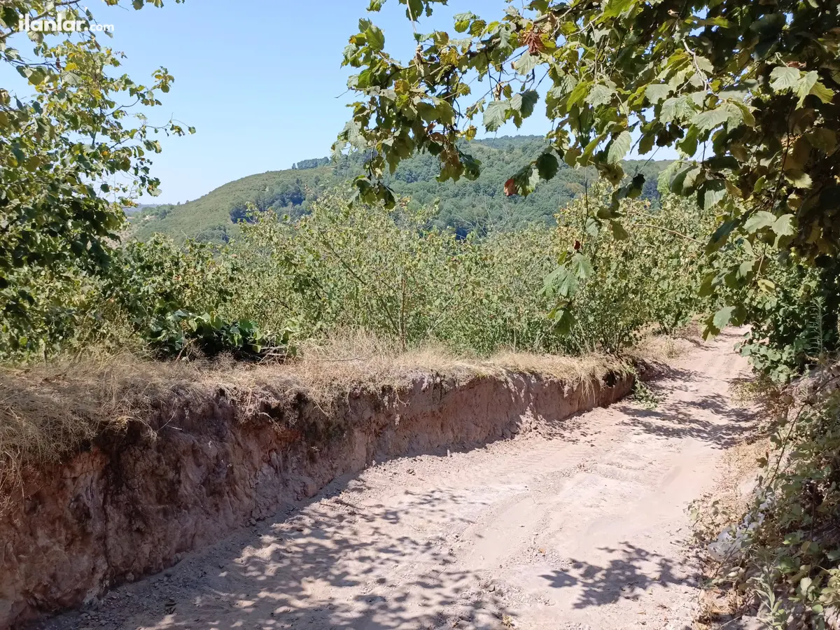 Sakarya Karasu Ortaköy Mahallesi 1.926 m² satılık bağ & Bahçe arsa - Fotoğraf 2
