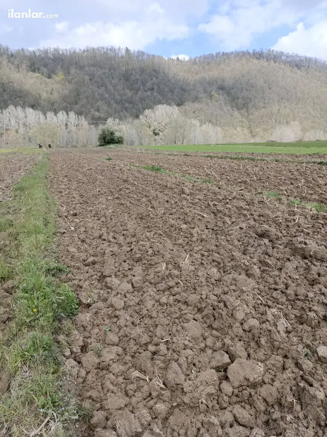 Sakarya Ferizli Akçukur Mahallesi 710 m² satılık tarla arsa - Fotoğraf 2