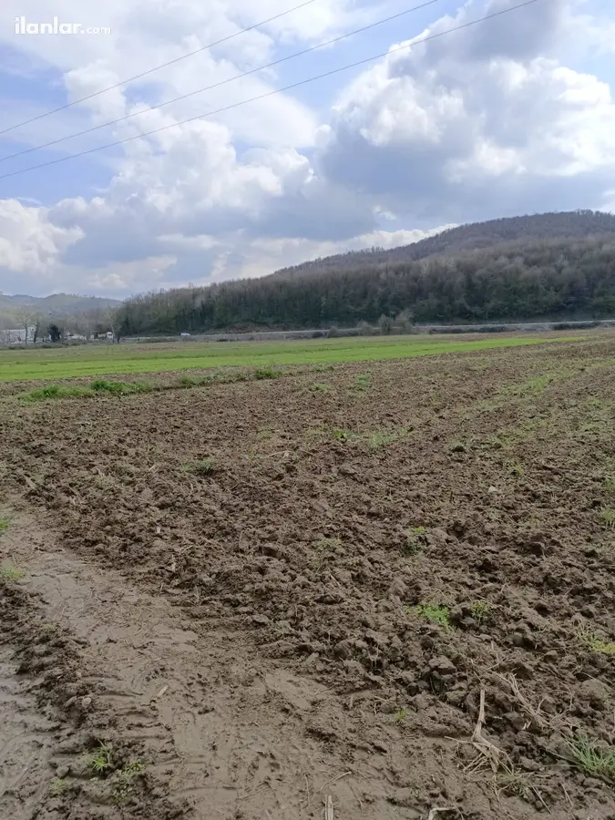 Sakarya Ferizli Akçukur Mahallesi 710 m² satılık tarla arsa - Fotoğraf 3