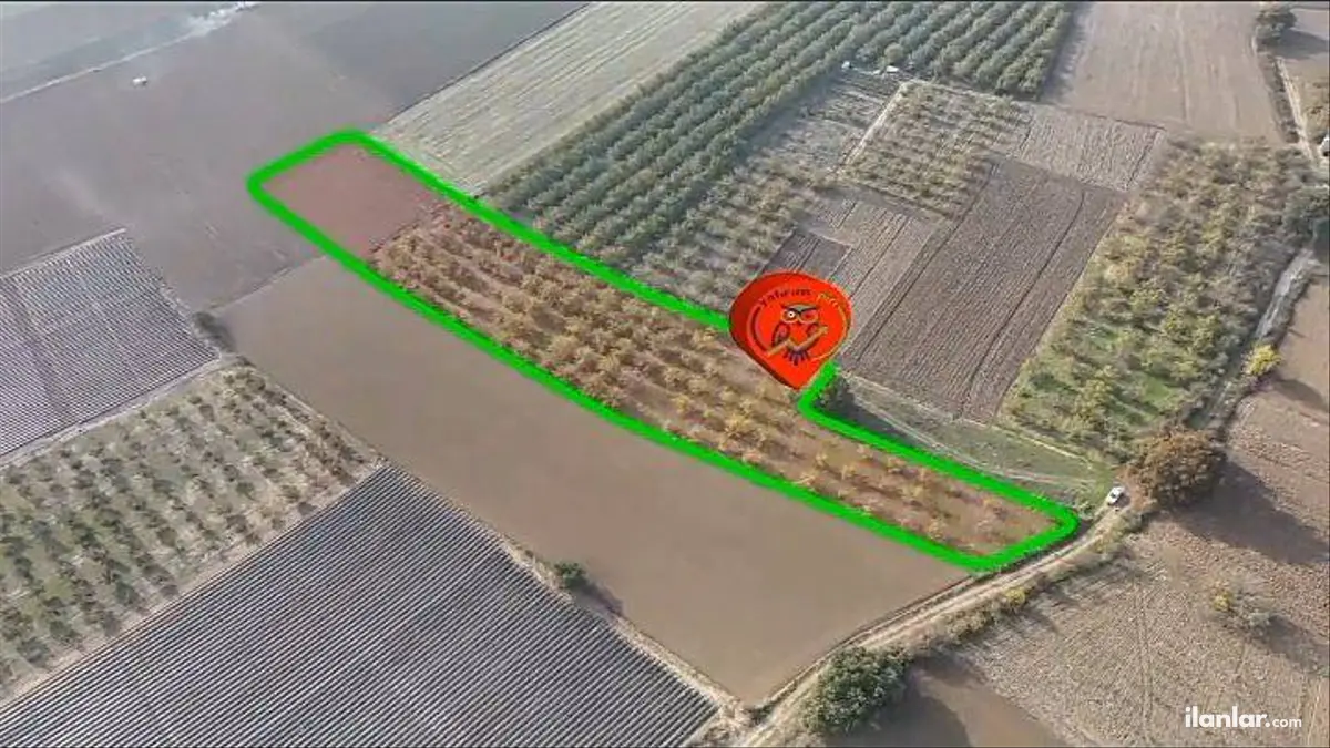 Bursa İnegöl Eymir Mahallesi 8.000 m² satılık bağ & Bahçe arsa - Fotoğraf 1