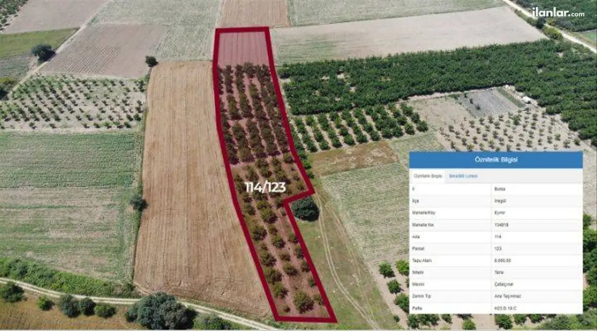 Bursa İnegöl Eymir Mahallesi 8.000 m² satılık bağ & Bahçe arsa - Fotoğraf 2