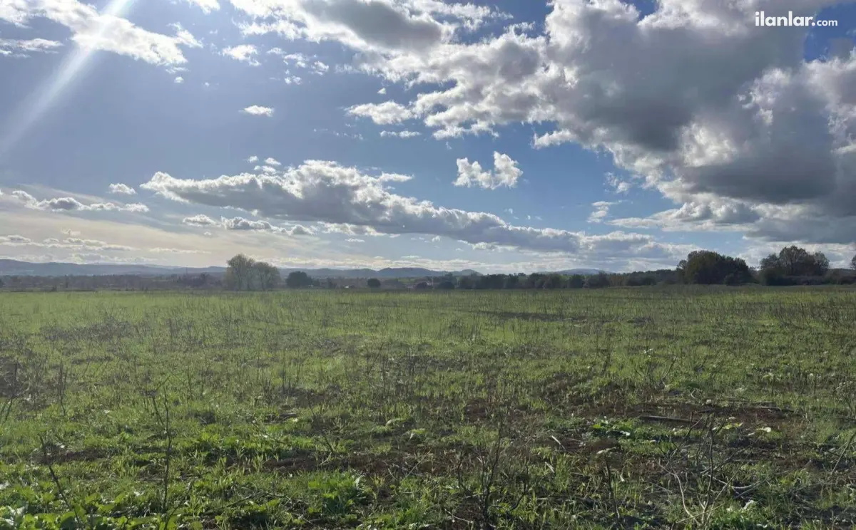 Çanakkale Biga Pekmezli Köyü Mahallesi 18.510 m² satılık çiftlik arsa - Fotoğraf 1