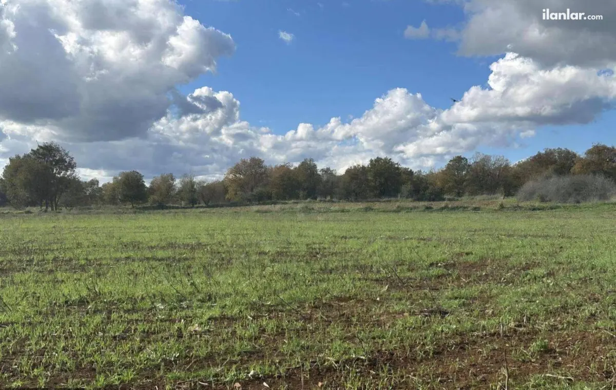 Çanakkale Biga Pekmezli Köyü Mahallesi 18.510 m² satılık çiftlik arsa - Fotoğraf 2