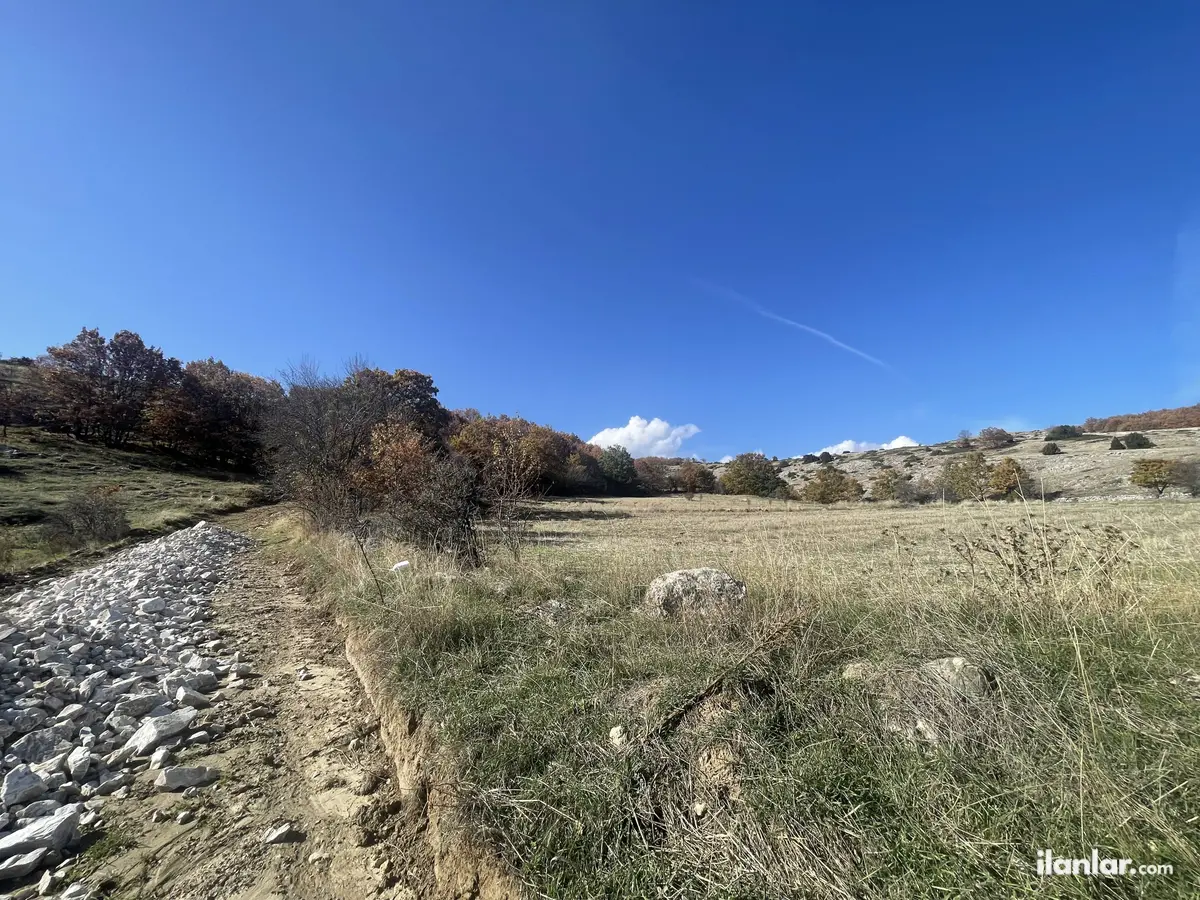 Bilecik Bozüyük Dodurga, Mithatpaşa Mahallesi 2.015 m² satılık tarla arsa - Fotoğraf 1