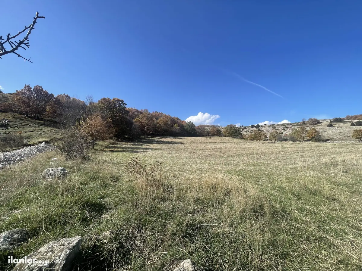 Bilecik Bozüyük Dodurga, Mithatpaşa Mahallesi 2.015 m² satılık tarla arsa - Fotoğraf 2