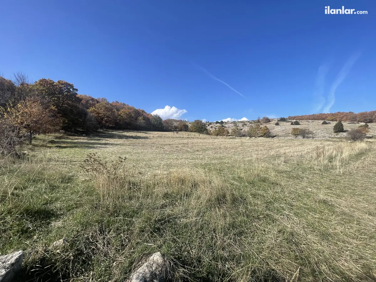 Bilecik Bozüyük Dodurga, Mithatpaşa Mahallesi 2.015 m² satılık tarla arsa - Fotoğraf 3