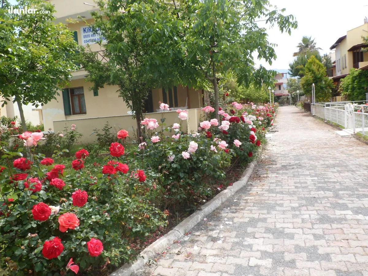 Aydın Kuşadası Davutlar Mahallesi 3+1 300 m² konut (Turizm Amaçlı Kiralık) villa - Fotoğraf 2