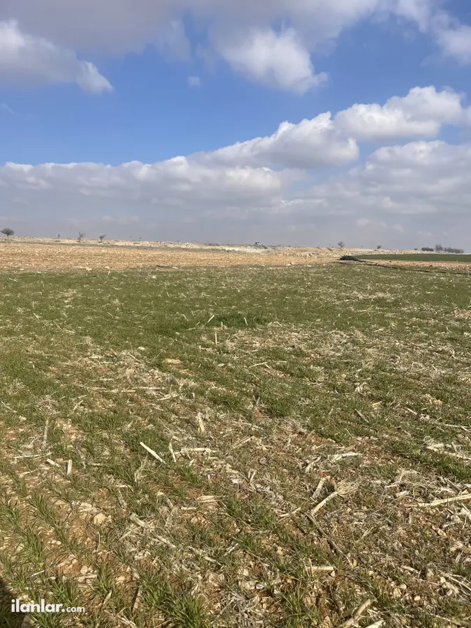 Bolu Seben Yuva Köyü Mahallesi 2.199 m² satılık tarla arsa - Fotoğraf 1
