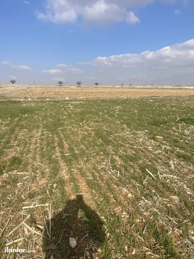 Bolu Seben Yuva Köyü Mahallesi 2.199 m² satılık tarla arsa - Fotoğraf 2