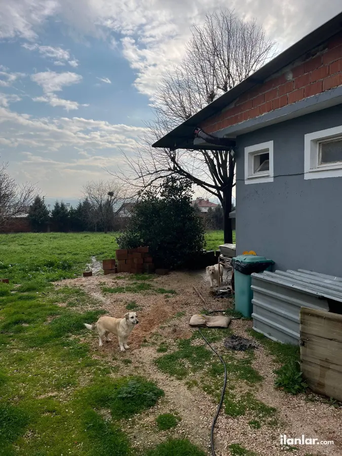 Balıkesir Altıeylül Balıklı Mahallesi 7.500 m² satılık çiftlik arsa - Fotoğraf 3