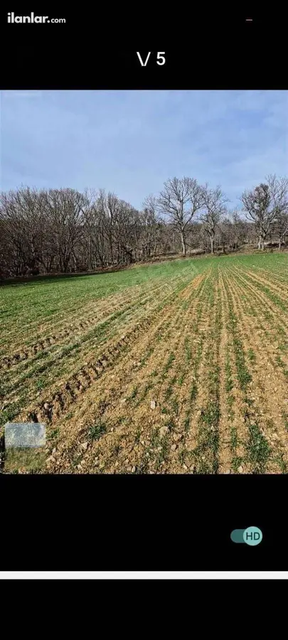 Kırklareli Pınarhisar Evciler Köyü Mahallesi 2.955 m² satılık tarla arsa - Fotoğraf 1