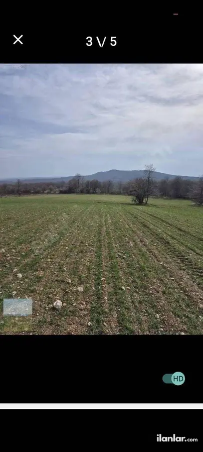 Kırklareli Pınarhisar Evciler Köyü Mahallesi 2.955 m² satılık tarla arsa - Fotoğraf 2