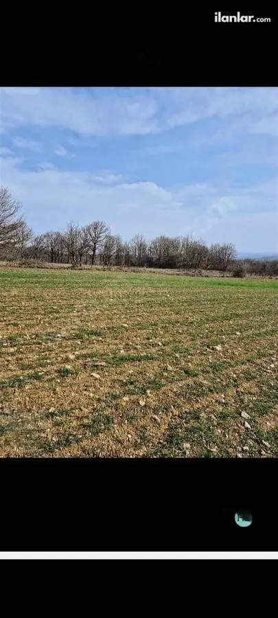 Kırklareli Pınarhisar Evciler Köyü Mahallesi 2.955 m² satılık tarla arsa - Fotoğraf 3