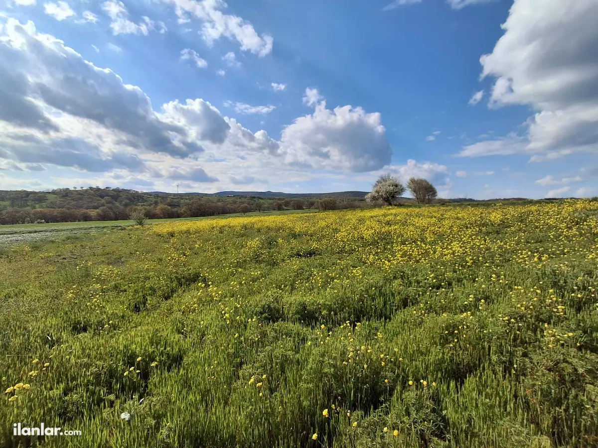 Balıkesir İvrindi Topuzlar Mahallesi 7.300 m² satılık tarla arsa - Fotoğraf 1