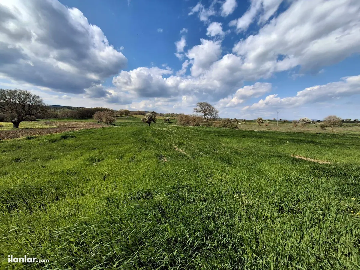 Balıkesir İvrindi Topuzlar Mahallesi 7.300 m² satılık tarla arsa - Fotoğraf 2