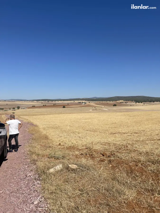 Kütahya Aslanapa Cumhuriyet Mahallesi 5.085 m² satılık tarla arsa - Fotoğraf 2