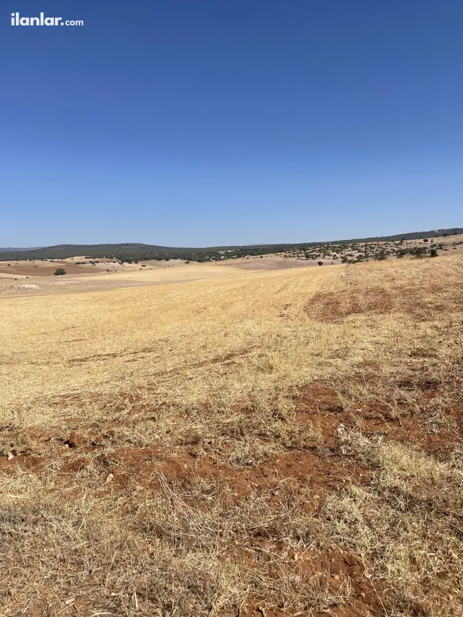 Kütahya Aslanapa Cumhuriyet Mahallesi 5.085 m² satılık tarla arsa - Fotoğraf 3