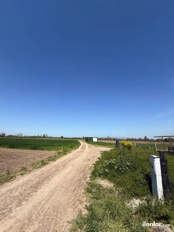 Sakarya Erenler Sarıcalar Mahallesi 1.660 m² satılık tarla arsa - Fotoğraf 3