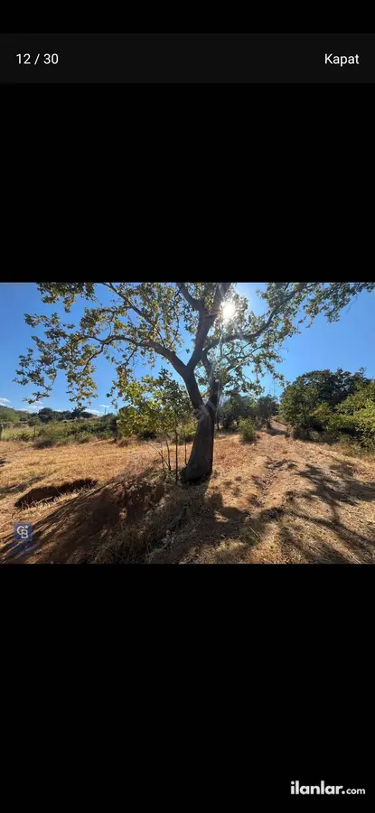 Çanakkale Lapseki Dereköy Köyü Mahallesi 602 m² satılık konut arsa - Fotoğraf 1