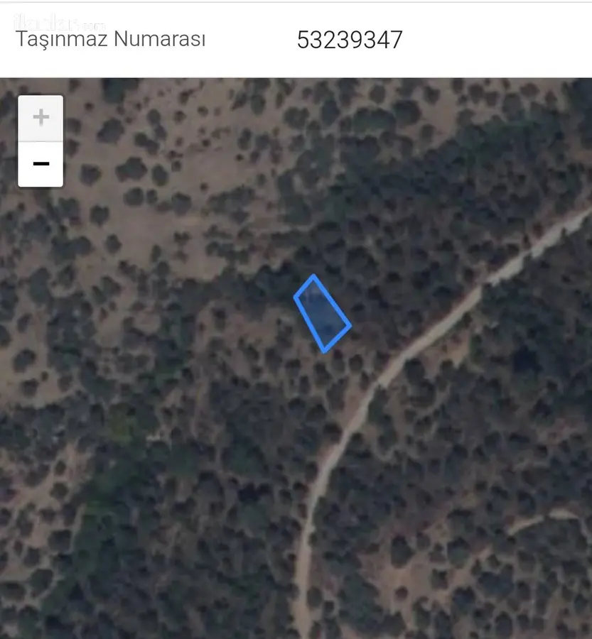 İzmir Bayındır Kabaağaç Mahallesi 178 m² satılık zeytinlik arsa - Fotoğraf 1