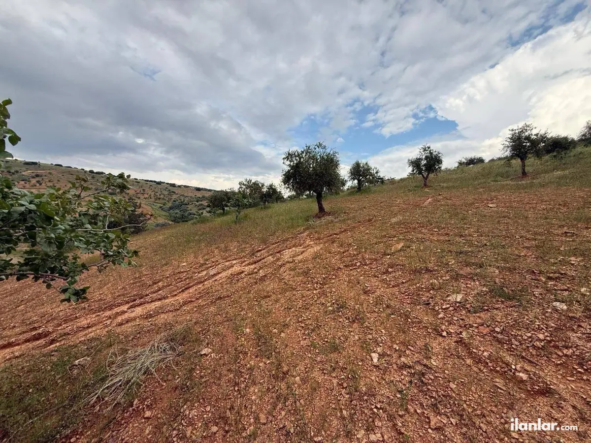 Gaziantep Şehitkamil Battal Mahallesi 7.500 m² satılık tarla arsa - Fotoğraf 3