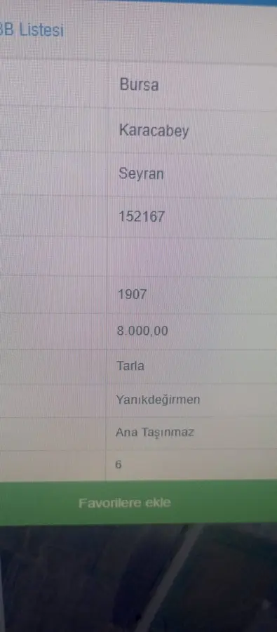 Bursa Karacabey Seyran Mahallesi 8.000 m² satılık tarla arsa - Fotoğraf 2
