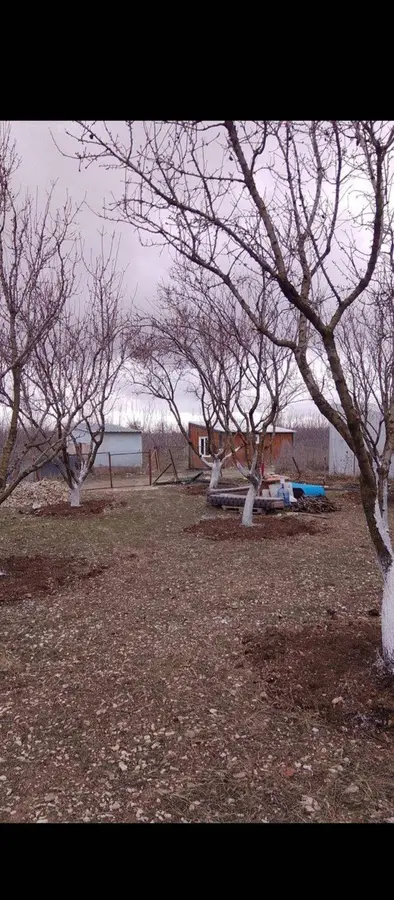 Antalya Korkuteli Yeşilyayla Mahallesi 4.660 m² satılık bağ & Bahçe arsa - Fotoğraf 2