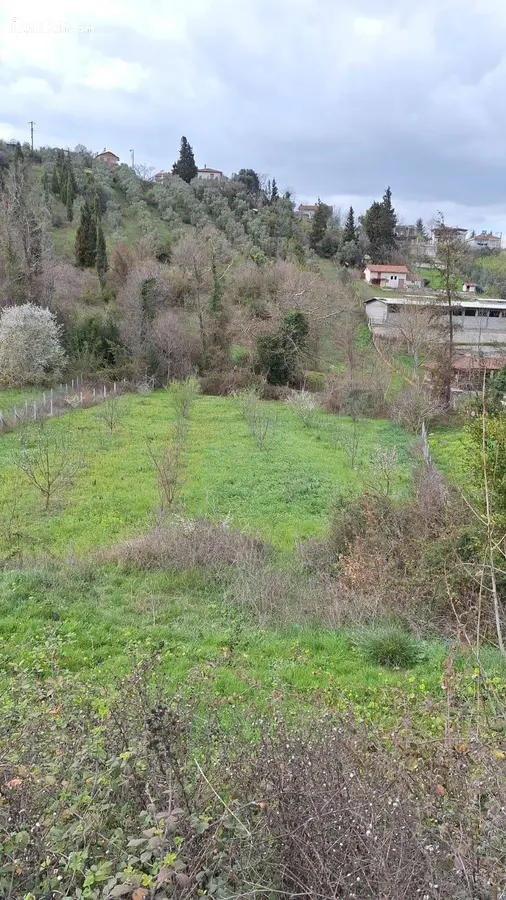 Yalova Altınova Kaytazdere, Merkez Mahallesi 1.585 m² satılık bağ & Bahçe arsa - Fotoğraf 1